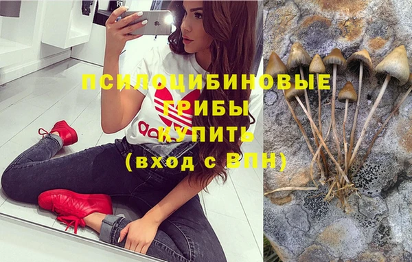 мяу мяу мука Балахна