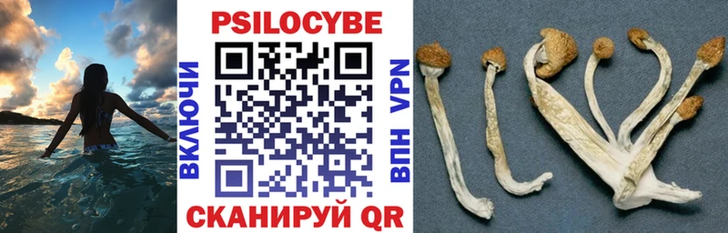 Псилоцибиновые грибы Magic Shrooms  Белозерск 