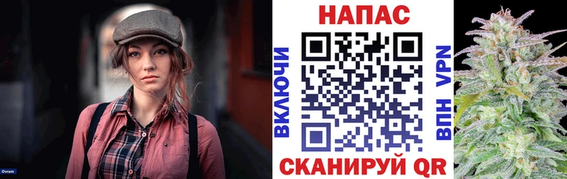 Шишки марихуана план  Белозерск 